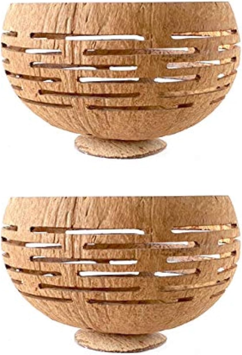 Set of 2 Horizons Coconut Planters w/Drainage Hole- Perfect for Succulents, Flowers, Small Plants, Indoor & Outdoor Gardens- Handcarved by Artisans, Eco-Friendly & Sustainable