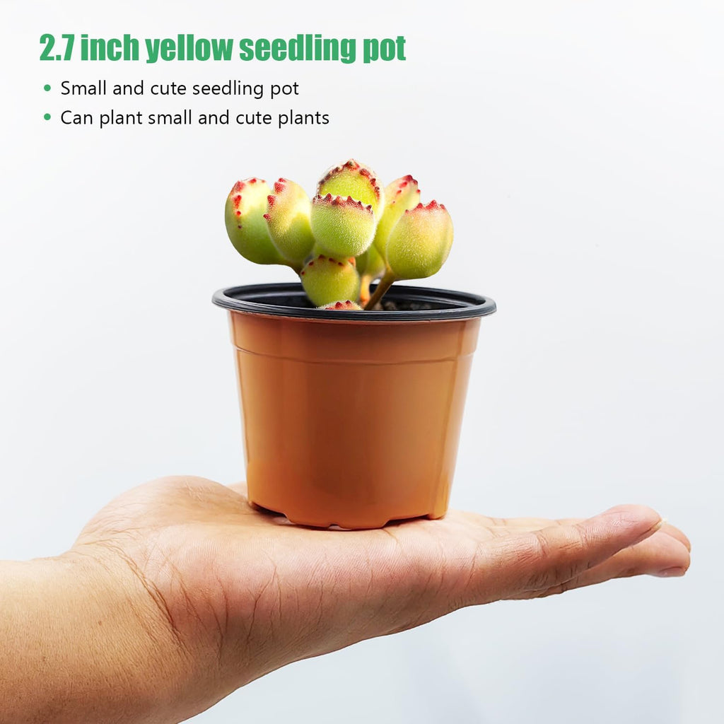 100 Pack 2.8" Nursery Pots, Plastic Pots for Plants, Small Plant Pots for Succulents, Seedlings, Flowers, Cuttings, Transplanting（Ochre Color）
