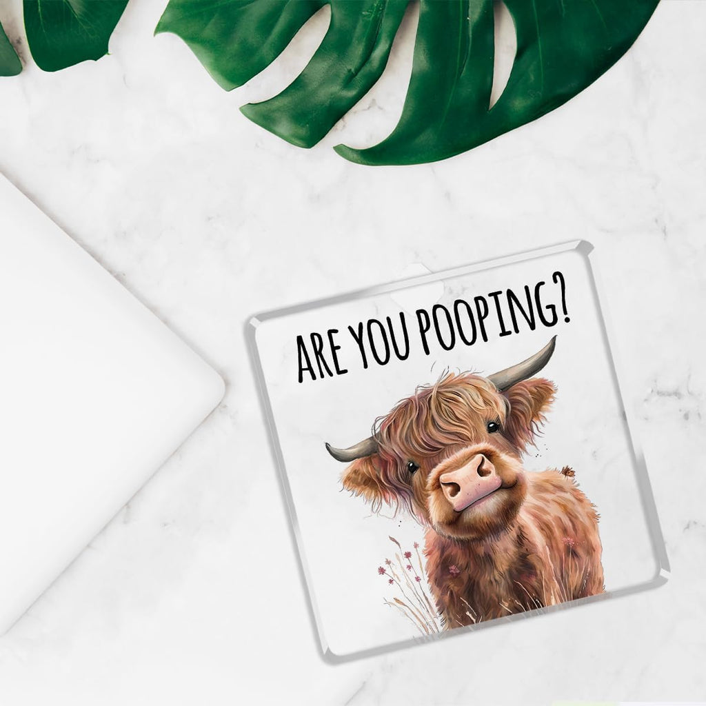 Highland Cow Bathroom Decor Gifts,Are You Pooping Funny Acrylic Sign Bathroom Decor for Western & Highland Cow Lovers Gifts for Coworker, Friends, Boss, Men, Women 4x4 Inch