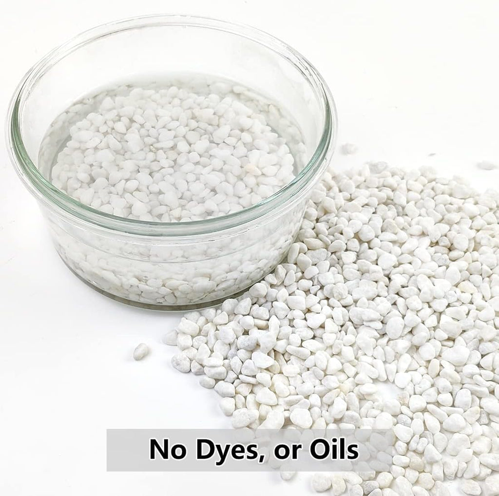 10LB Succulent and Cactus Gravel, 1/5 Inch White Natural Decorative Polished Pebbles for Landscaping, River Rocks for Plants, Vases, Aquariums, Terrarium and Outdoor Gardening