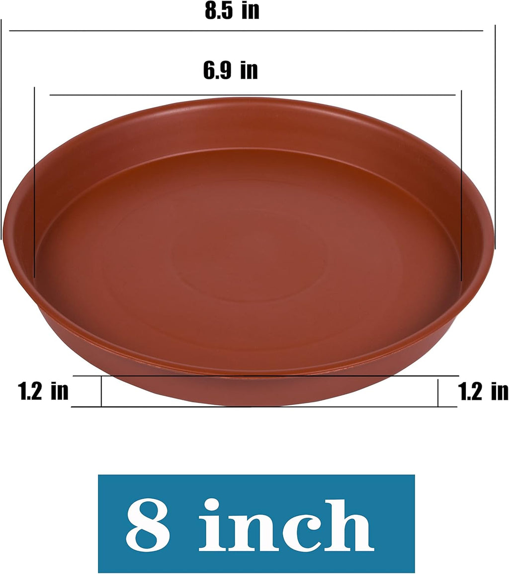 2 Pack of 8 inch Plant Saucer, Bird Bath Bowl 8 inch, Plant Dishes Saucer, Flower Plant Water Trays for Indoors, Plate for Planter 7-9" (8 inch, Terracotta)