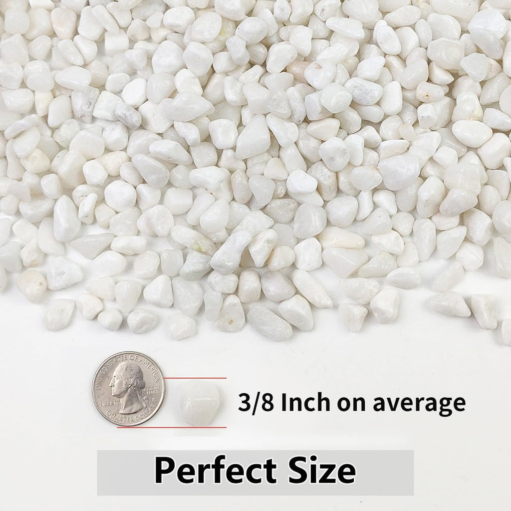 10LB Succulent and Cactus Gravel Pebbles, 3/8 Inch Natural Decorative Polished Stones, River Rocks for Plants, Vases, Aquariums, Terrarium and Outdoor Gardening, White