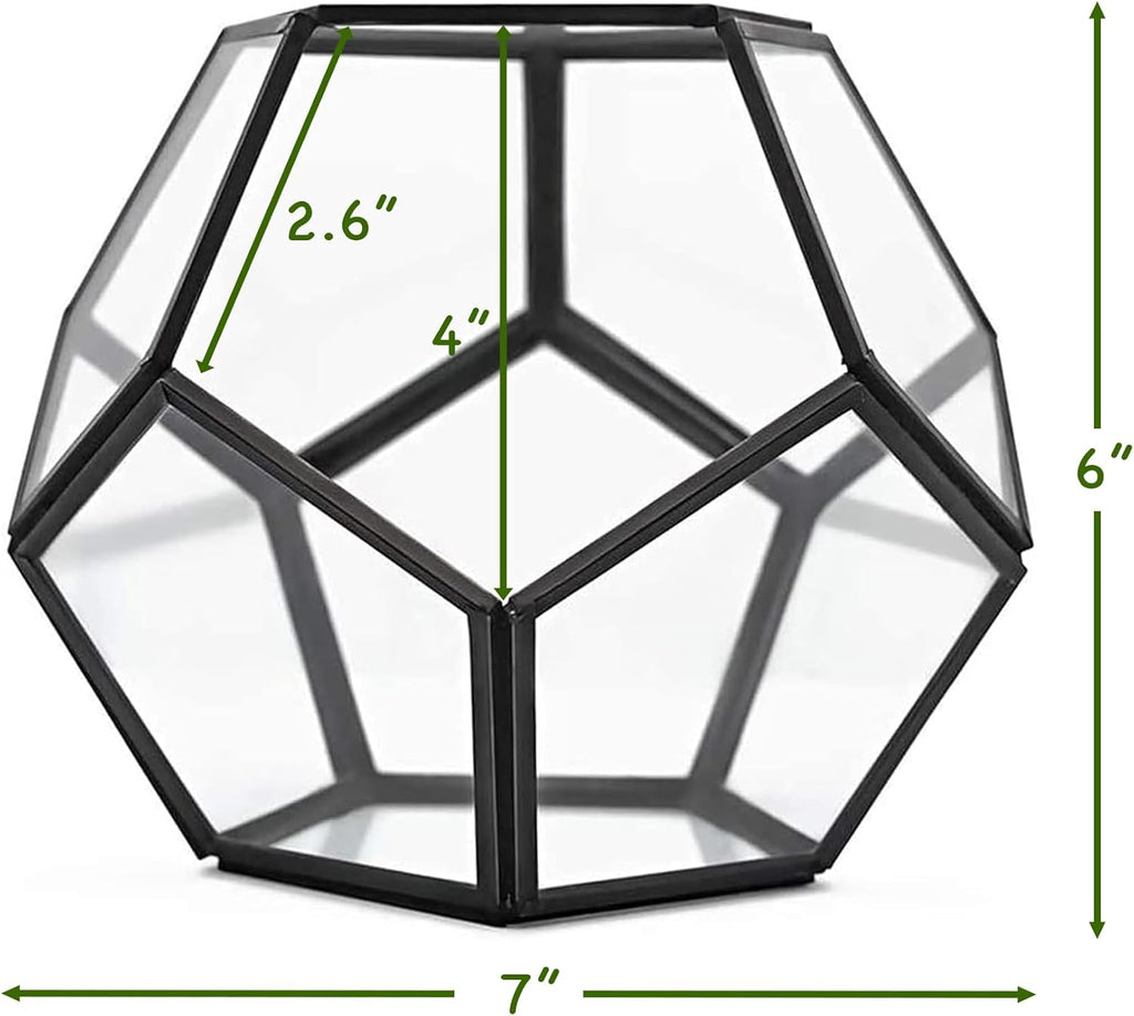 Cute Farms Glass Terrarium Kit | Just Add Your Own Plants (Geometric Glass)