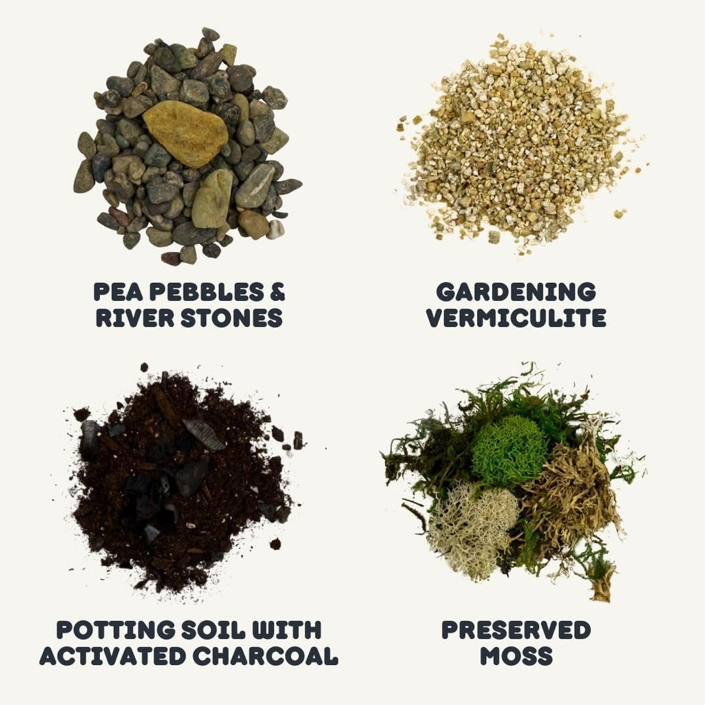 Cute Farms Terrarium Starter Kit | Moss, Vermiculite, Soil, Pebbles, Plant Food, Finishing Tools, Build and Care Guide | DIY Succulent Terrarium for Adults and Kids (Medium)
