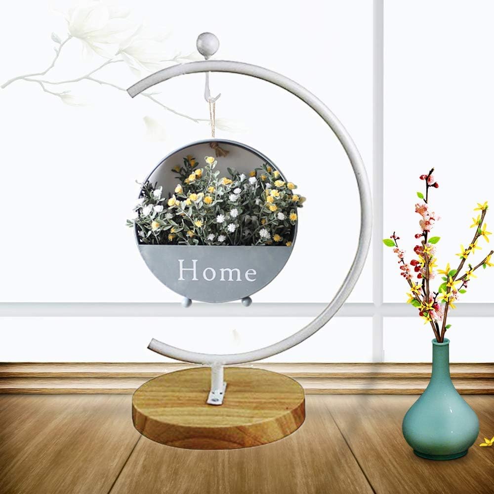 Archi G-Shaped Ornament Display Stand Iron Pothook Stand for Hanging Glass Terrarium/Picture with Wood Base(G Shape-White)