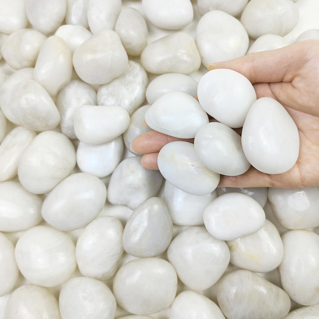10 lbs White River Rocks, 1-2 inch Polished Pebbles for Indoor Plants, Decorative White Stones for Planters, Vase, Aquarium, Fish Tank, Landscaping and Garden