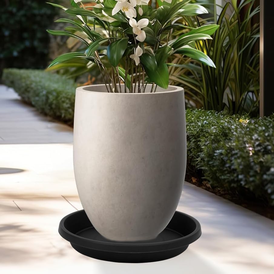 2 Pack Plant Saucer 8 Inch, Drip Trays for Potted Plants, Flower Pot Saucers Plant Trays for Pots, Plastic Planter Tray for Indoors, Plant Drainage Saucer Birdbaths for Outdoors