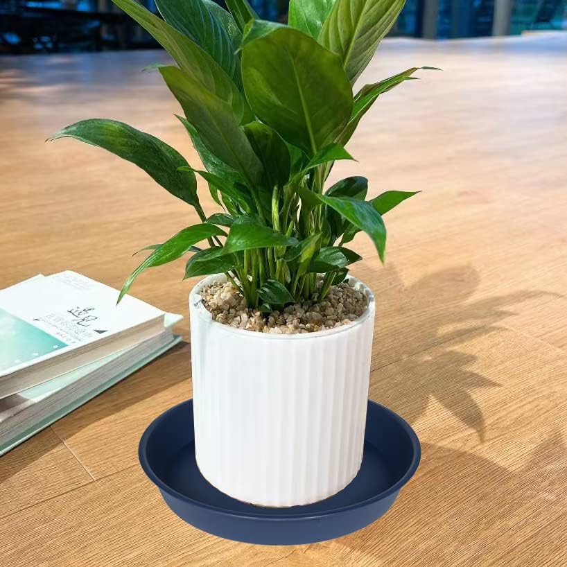 6 Pack Plant Saucer Drainage Tray, Plastic Plant Water Tray, 6 inch Flower Saucers for Indoors, Plant Dishes for Pots Base (6 inch, Blue)