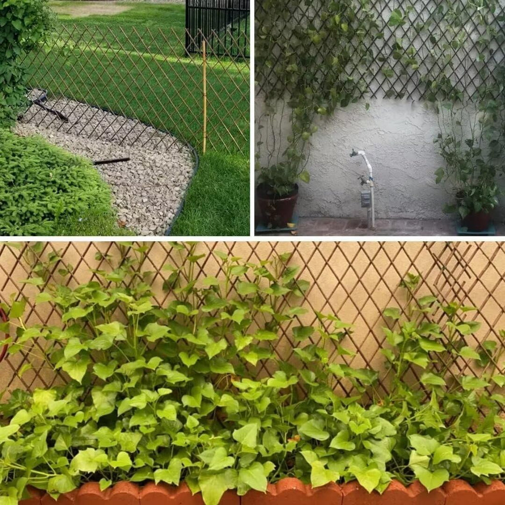 GLANT Lattice Fence Expandable Plant Climbing Trellis, Open Screen Willow Fencing