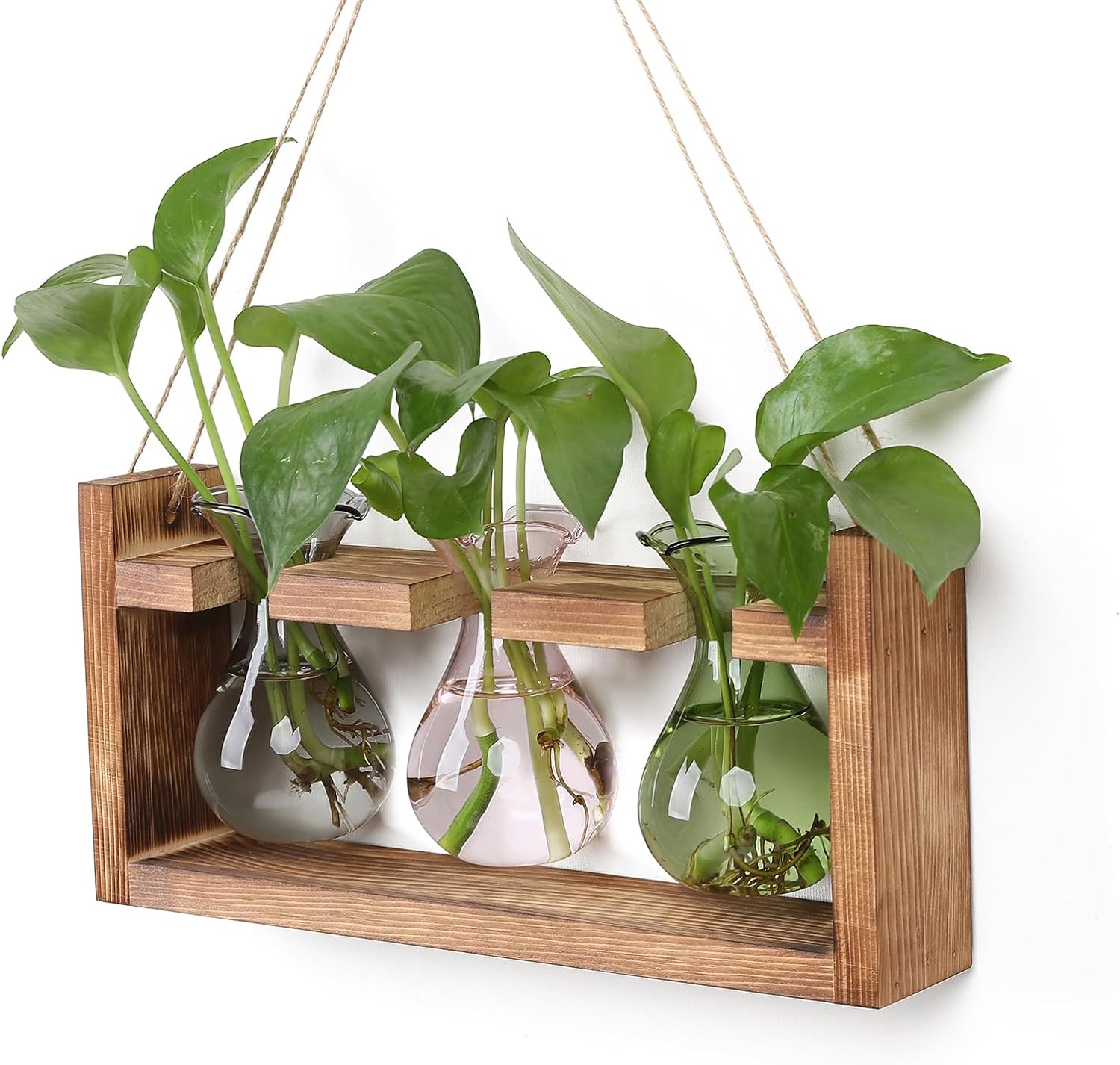 Plant Propagation Station Plant Terrarium Unique Birthday Gifts for Women Home Office Decor Planter with Wooden Stand - 3 Bulb Glass Vase