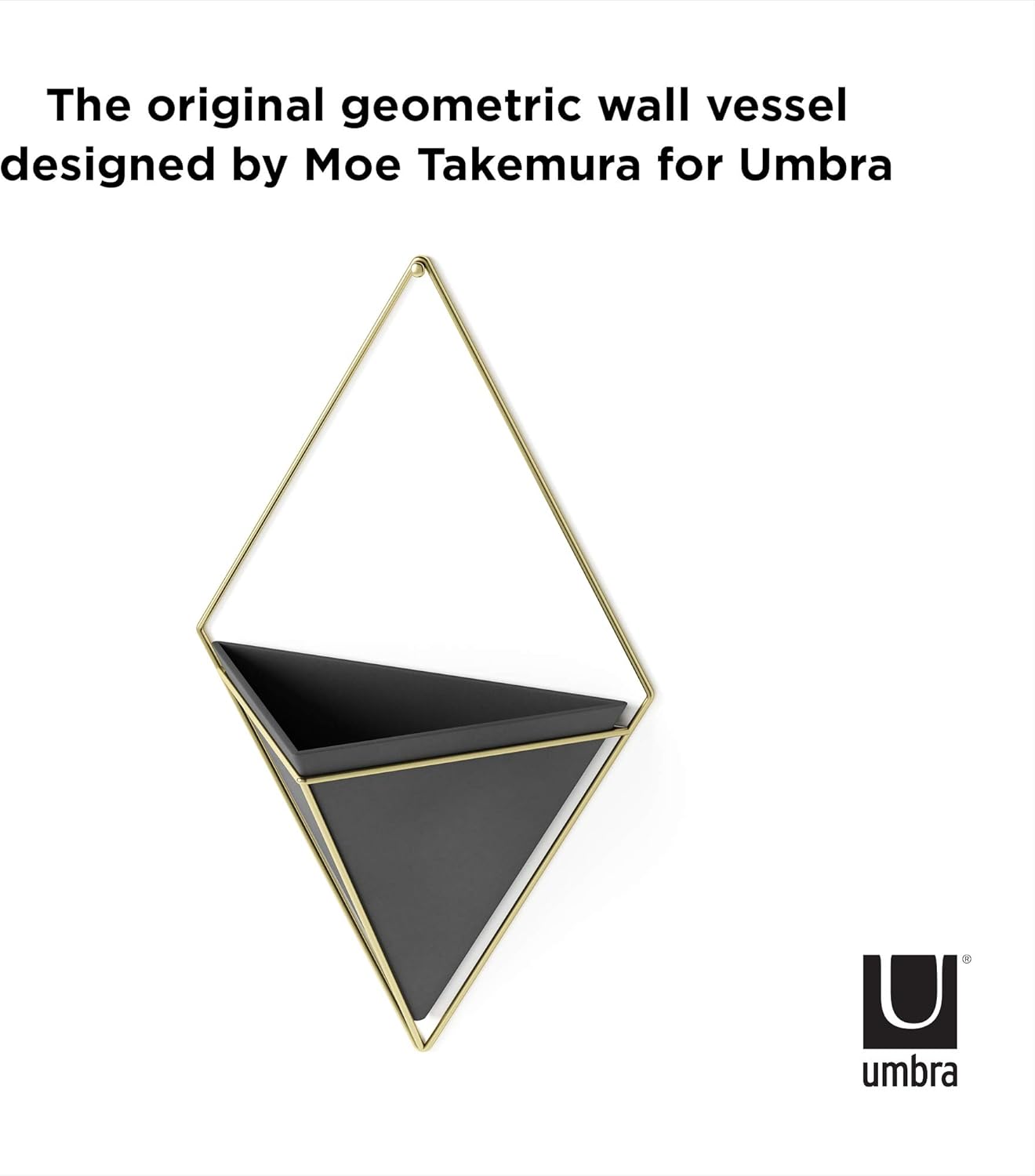 Umbra Trigg Hanging Planter Vase Wall Decor, Pot and Container for Succulents, Cactus, Faux Plants, and More, Large, Black/Brass