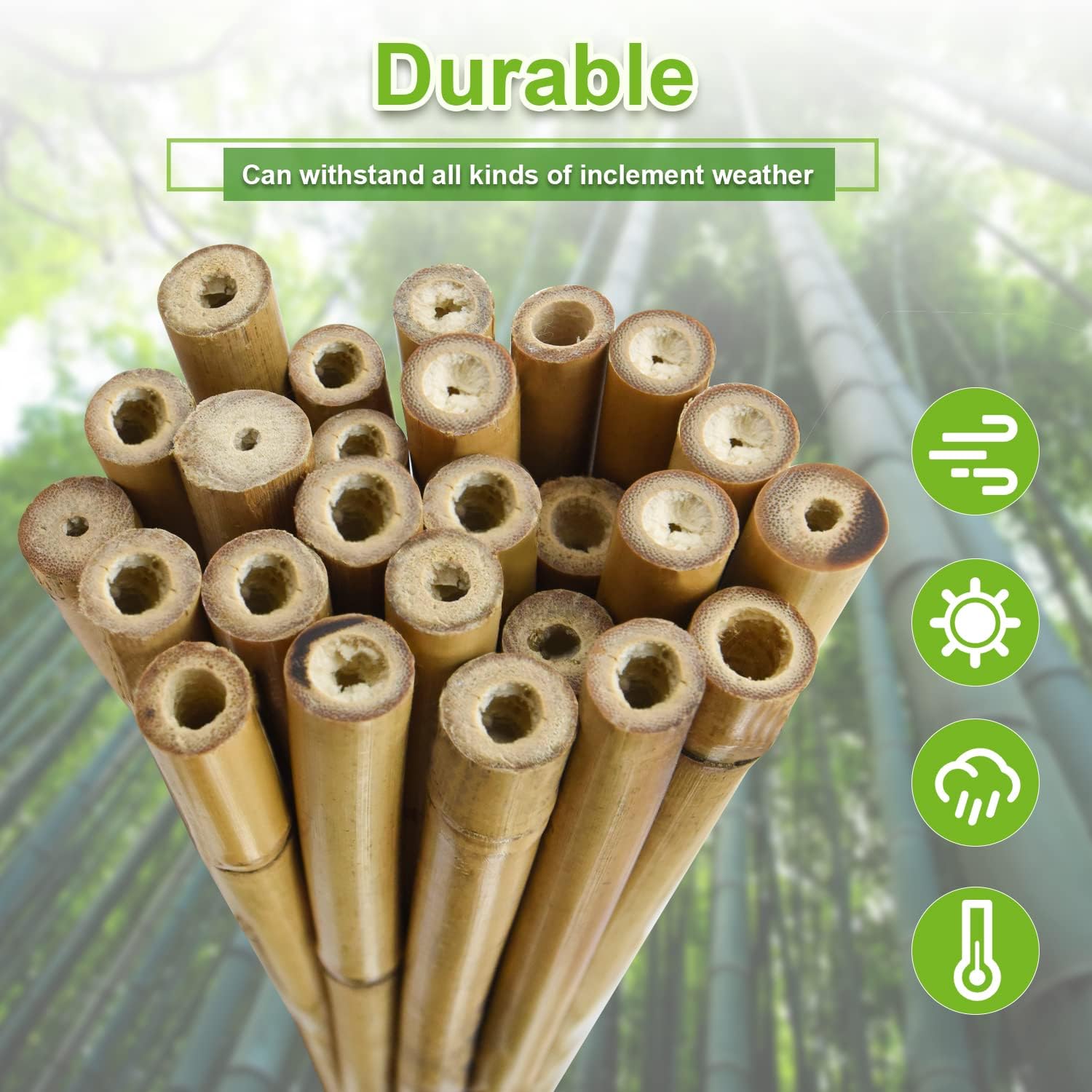 10pcs 1" D Thicker Heavy Duty Bamboo Stakes, 8FT Plant Stakes, Natural Garden Stakes for Tomato, Bean, Flowers,Trees Potted and Climbing Plant Support