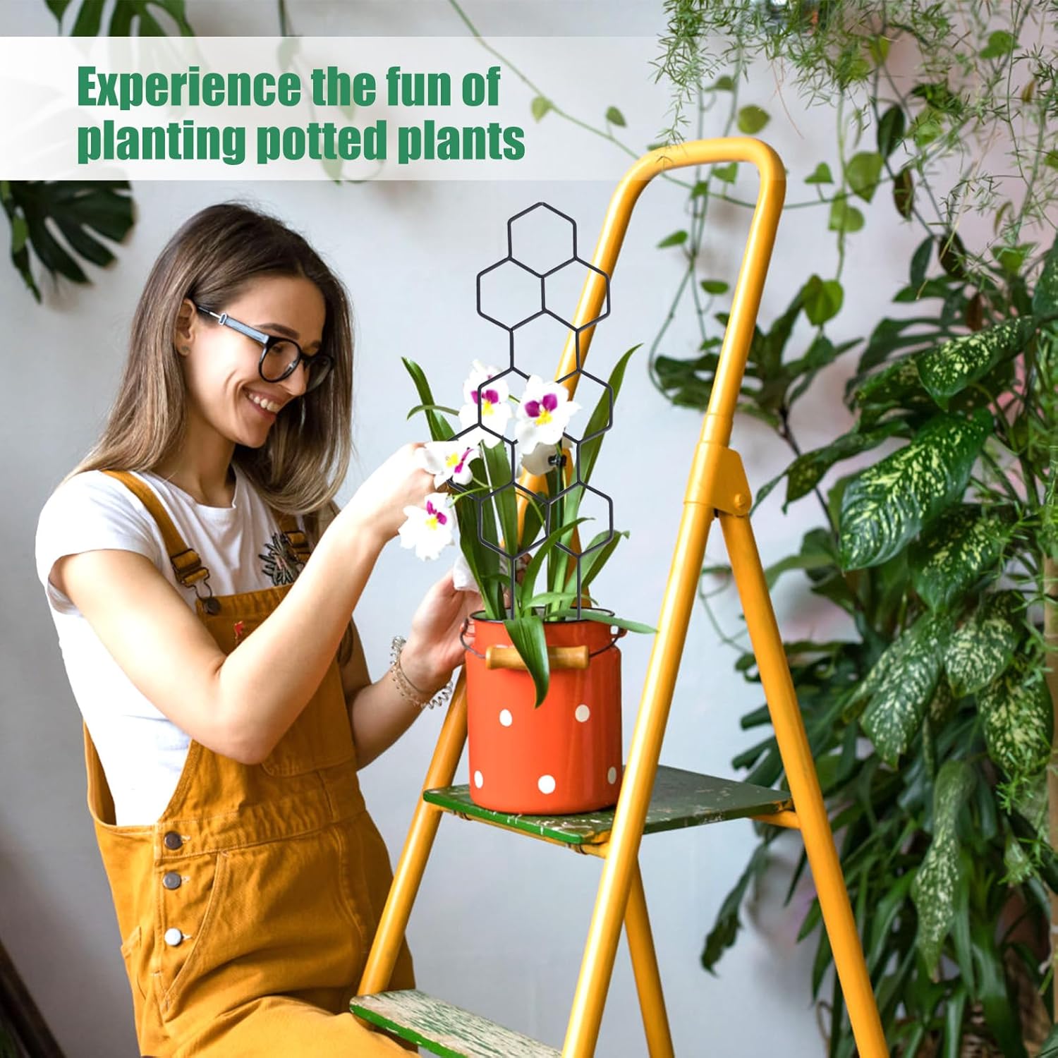 Small Trellis for Potted Plants, 15.94 inch Metal Plant Trellis for Climbing Plants Indoor Pot Honeycomb Shape Lattice for Ivy Vines Hoya Houseplants Flower 2 Pack