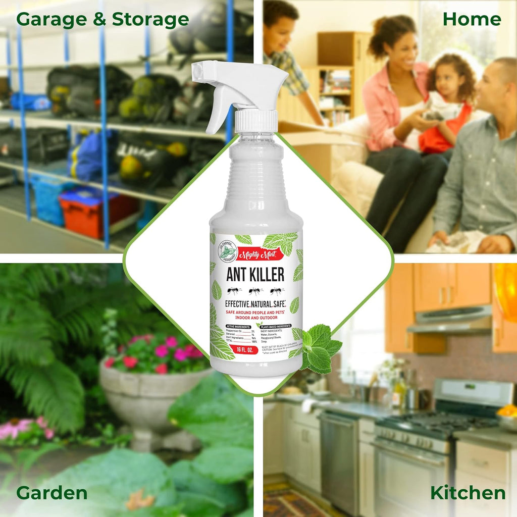Mighty Mint Peppermint Oil Ant Killer Spray – Natural Ant Repellent for Indoor & Outdoor Use – Plant-Based Insect & Pest Control – 16 oz (Pack of 2)