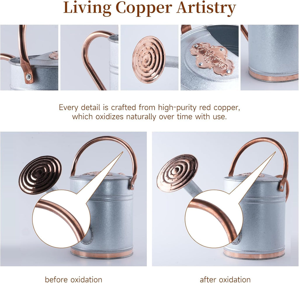 1 Gallon Galvalume Metal Watering Can with Solid Brass Sprout, Handle & Base Trim - Genuine Forged Copper Joints for Indoor/Outdoor Plants, Garden, Balcony for Kids and Adults (Stardust & Vermilion)