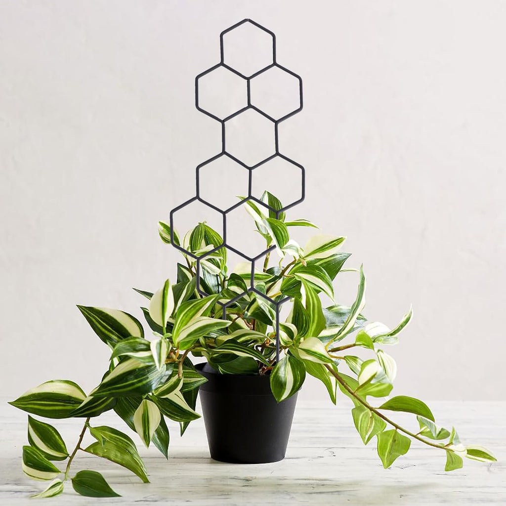 Small Trellis for Potted Plants, 15.94 inch Metal Plant Trellis for Climbing Plants Indoor Pot Honeycomb Shape Lattice for Ivy Vines Hoya Houseplants Flower 2 Pack