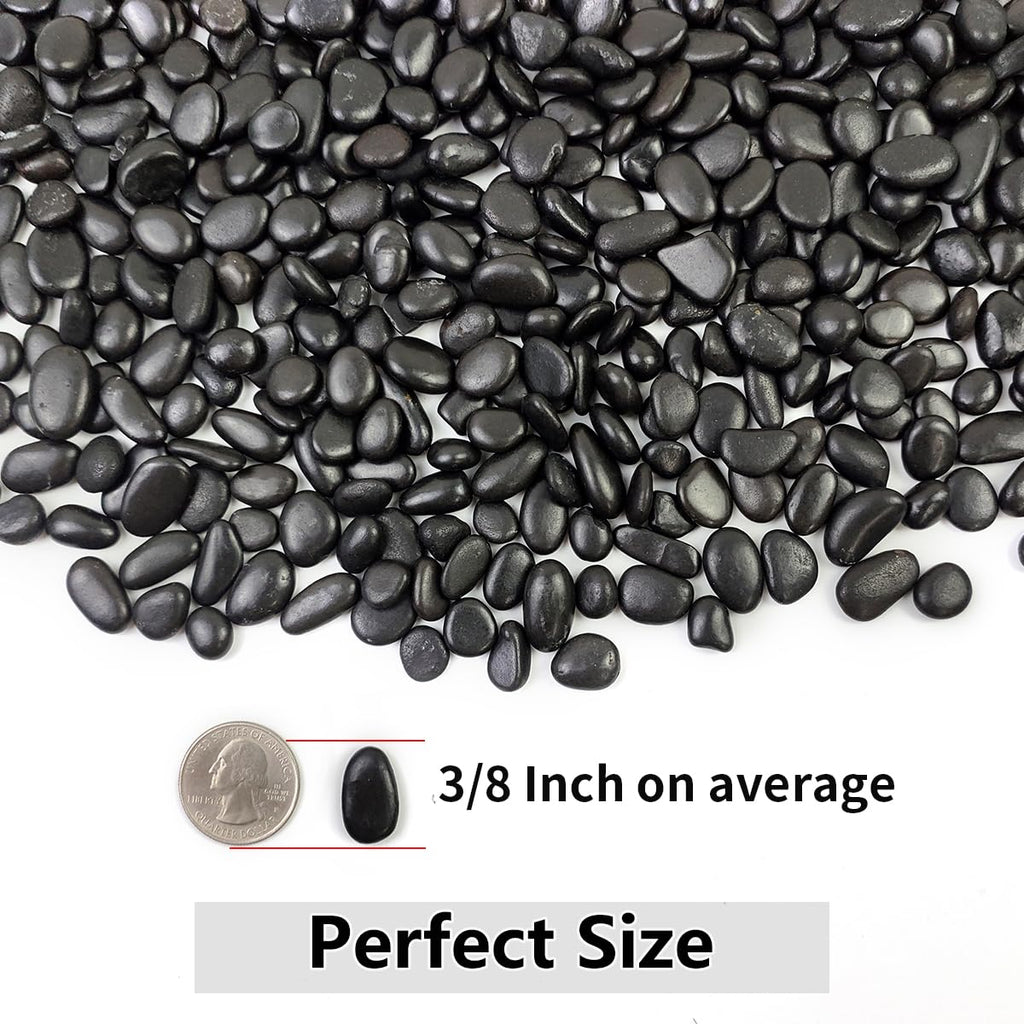 10LB Succulent and Cactus Black Pebbles, 3/8 Inch Natural Decorative Polished Stones, River Rocks for Indoor Plants, Vases, Planters and Outdoor Gardening