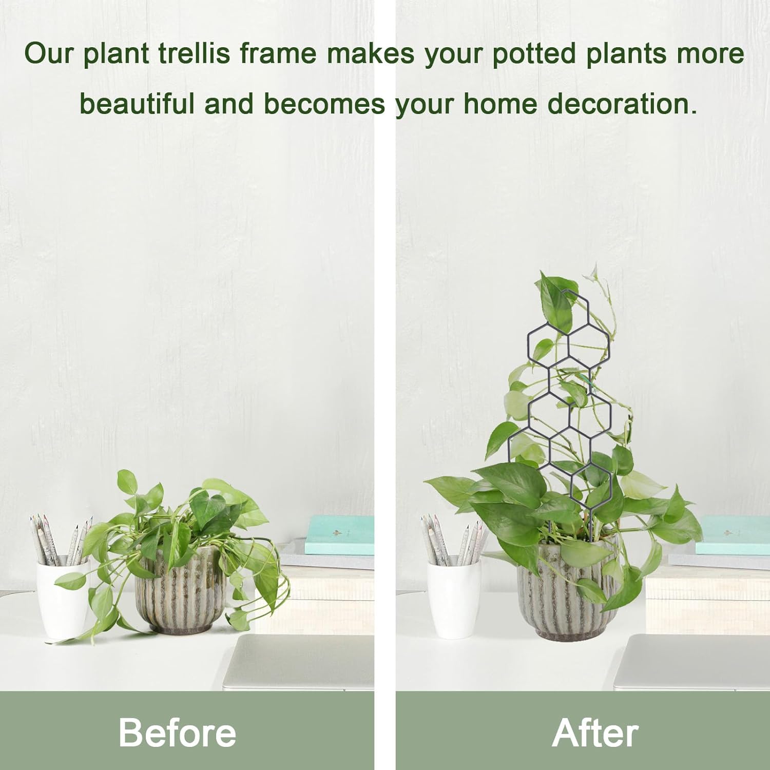 Small Trellis for Potted Plants, 15.94 inch Metal Plant Trellis for Climbing Plants Indoor Pot Honeycomb Shape Lattice for Ivy Vines Hoya Houseplants Flower 2 Pack