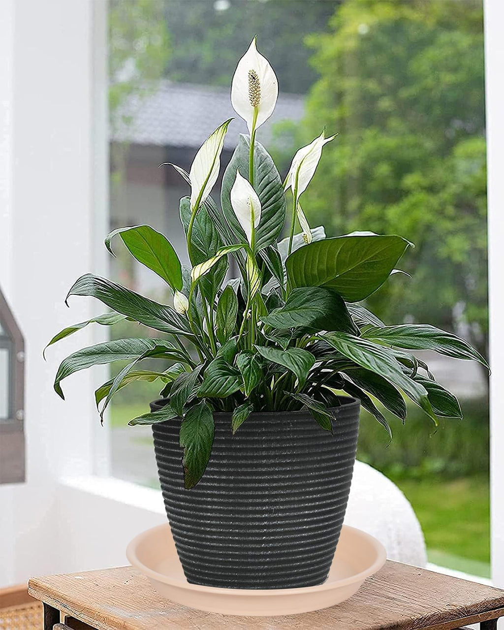 Plant Saucer Pot Tray 10 inch, 2 Packs Plastic Flower Planter Saucers and Drip Trays for Indoors Outdoors, Heavy Durable Plant Plate Water Catcher (Beige)