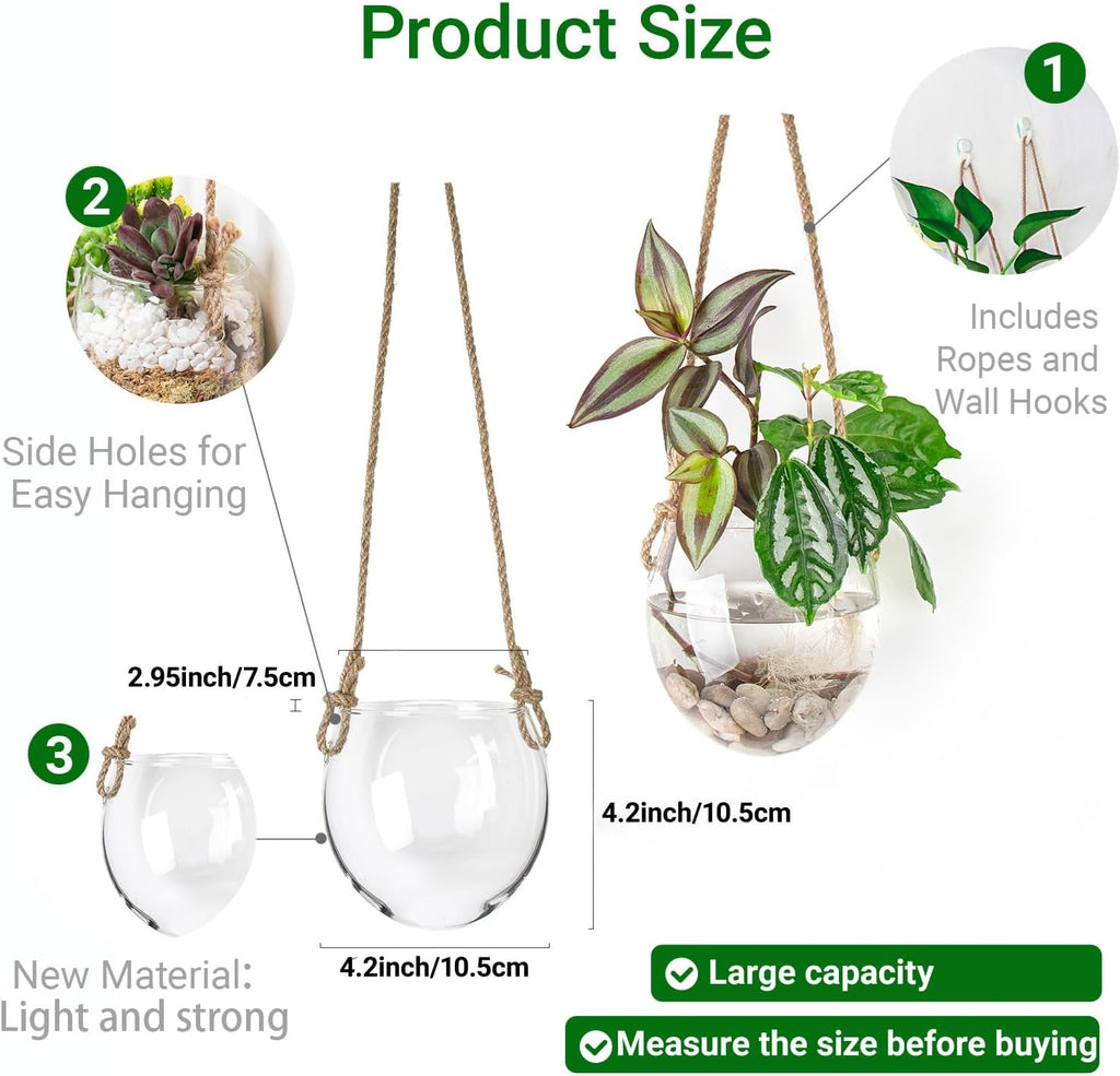 Wall Hanging Glass Planter Air Planter Terrarium Vase Propagation Stations for Hydroponic Plants, Succulent Moss Tillandsias Air Plants Globe,Home Office Garden Decor, Set of 2