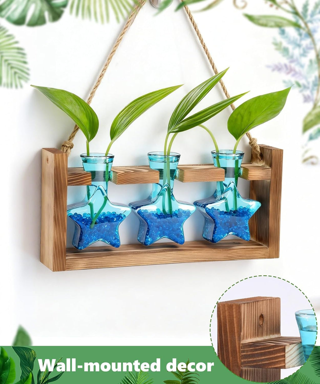 Nacome Plant Terrarium with Wooden Stand,Star-Shaped Planter Propagation Station Glass Vase for Home Office Decor- Unique Gifts for Plant Lovers Women Mom(Blue)