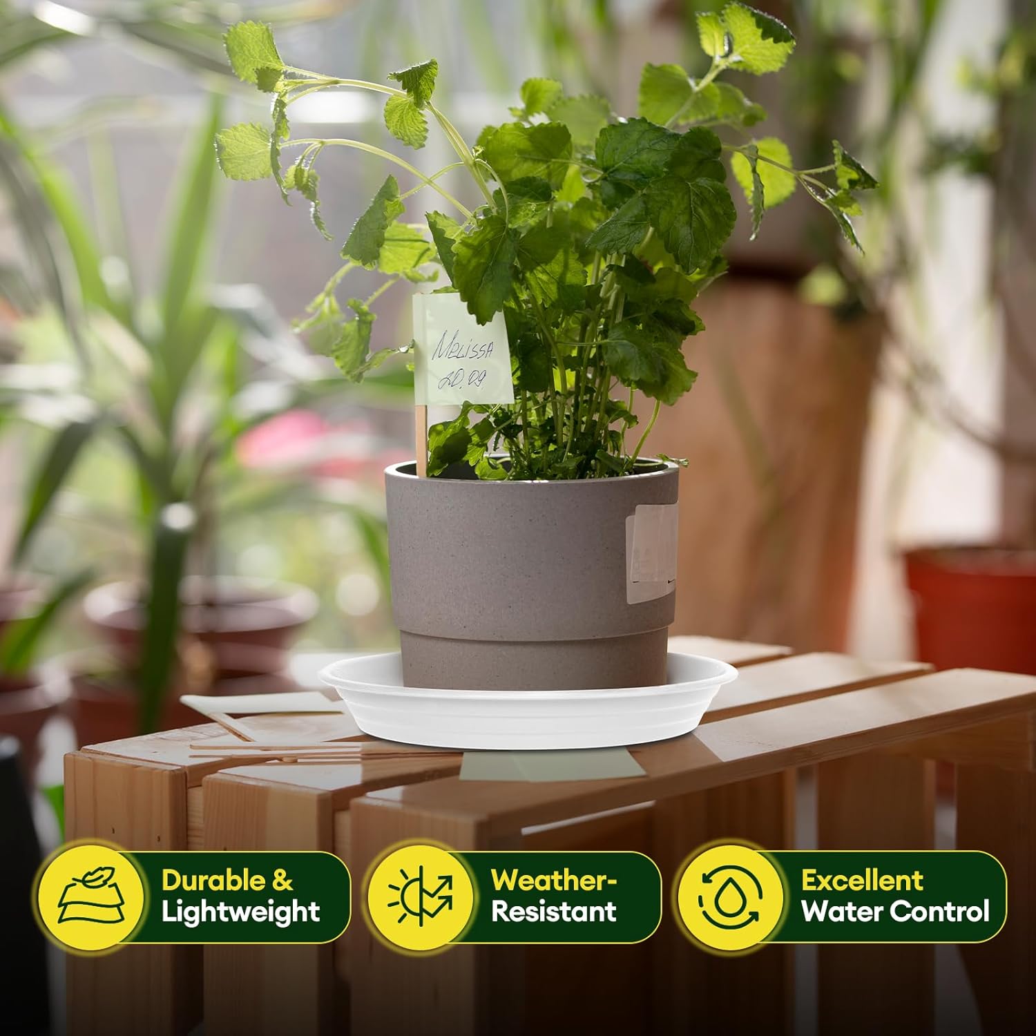 6 Pack Plant Saucer, 8 10 12 inch Plant Saucers for indoor, Heavy Duty Plastic Plant trays for pots, Grow Bags, Bird Baths, Flower Drip Trays for Indoor and Outdoor Uses (10", White)