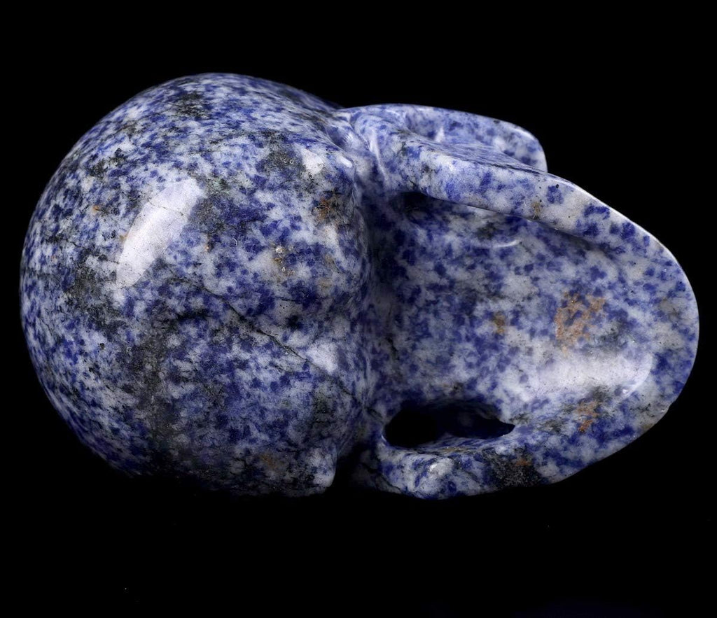 Skullis 5.0" Blue Speckled Sodalite Crystal Skull, Hand Carved Gemstone Fine Art Sculpture, Reiki Healing Stone Statue. z8