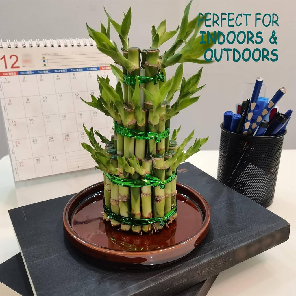 Ceramic Plant Saucer 5 Inch, 2 Pack Round Plant Saucers for Indoors/Outdoors, Flower Pot Saucers for Holding Water Drips, Ceramic Plant Water Trays for pots Planter, Bird Bath Bowls (Brown)