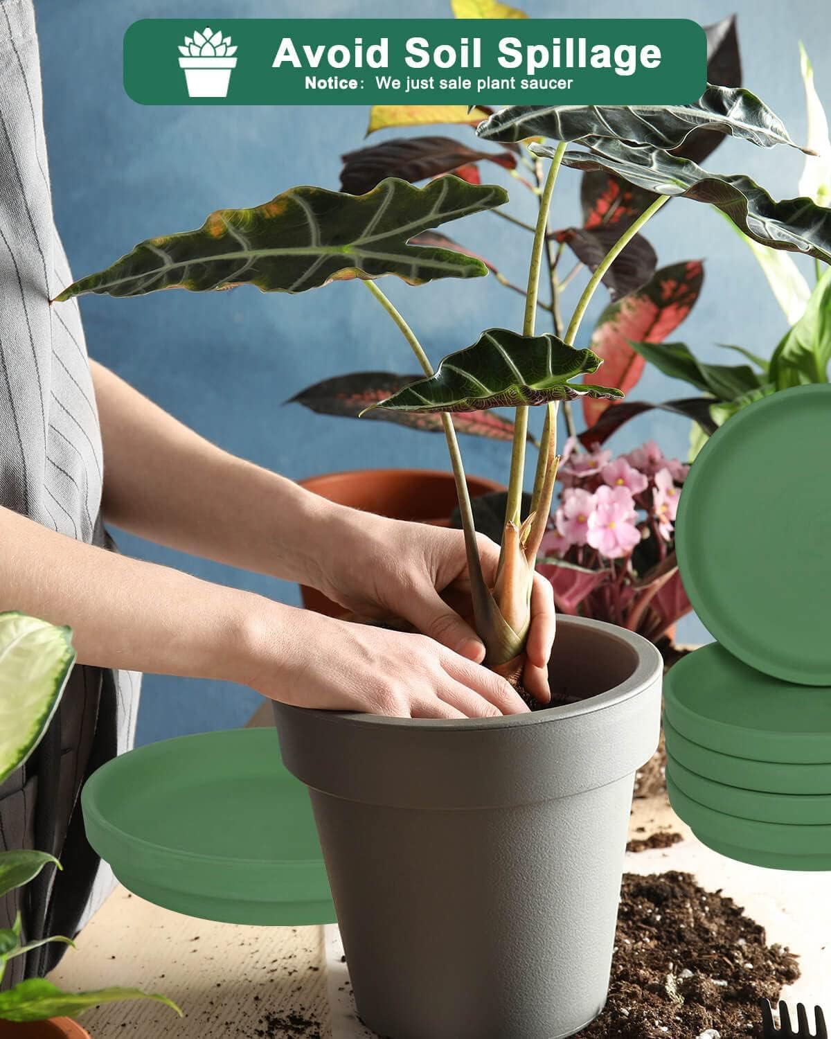 vensovo 8 Inch Green Terracotta Plant Saucer Pots Tray - 4 Pcs Round Planter Saucers for Indoor & Outdoor Plants, Large Clay Trays Perfect for 7 Inch 7.5 Inch 8 Inch Flower Pot