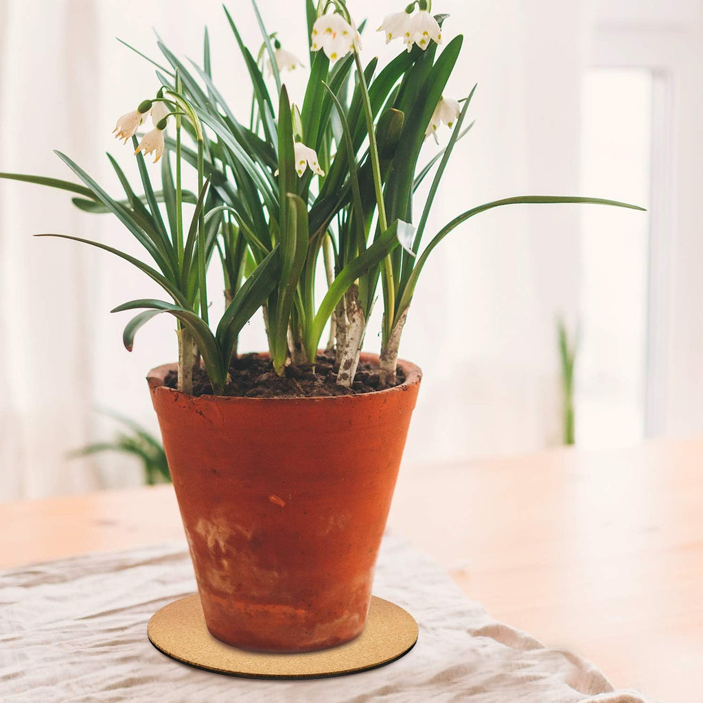 Patelai 3 Pieces Cork Plant Mat Round 6, 8, 10 Inch 3 Sizes Cork Plant Coasters DIY Pad Plate Pad for Gardening Indoor and Outdoor Pots DIY Craft Project