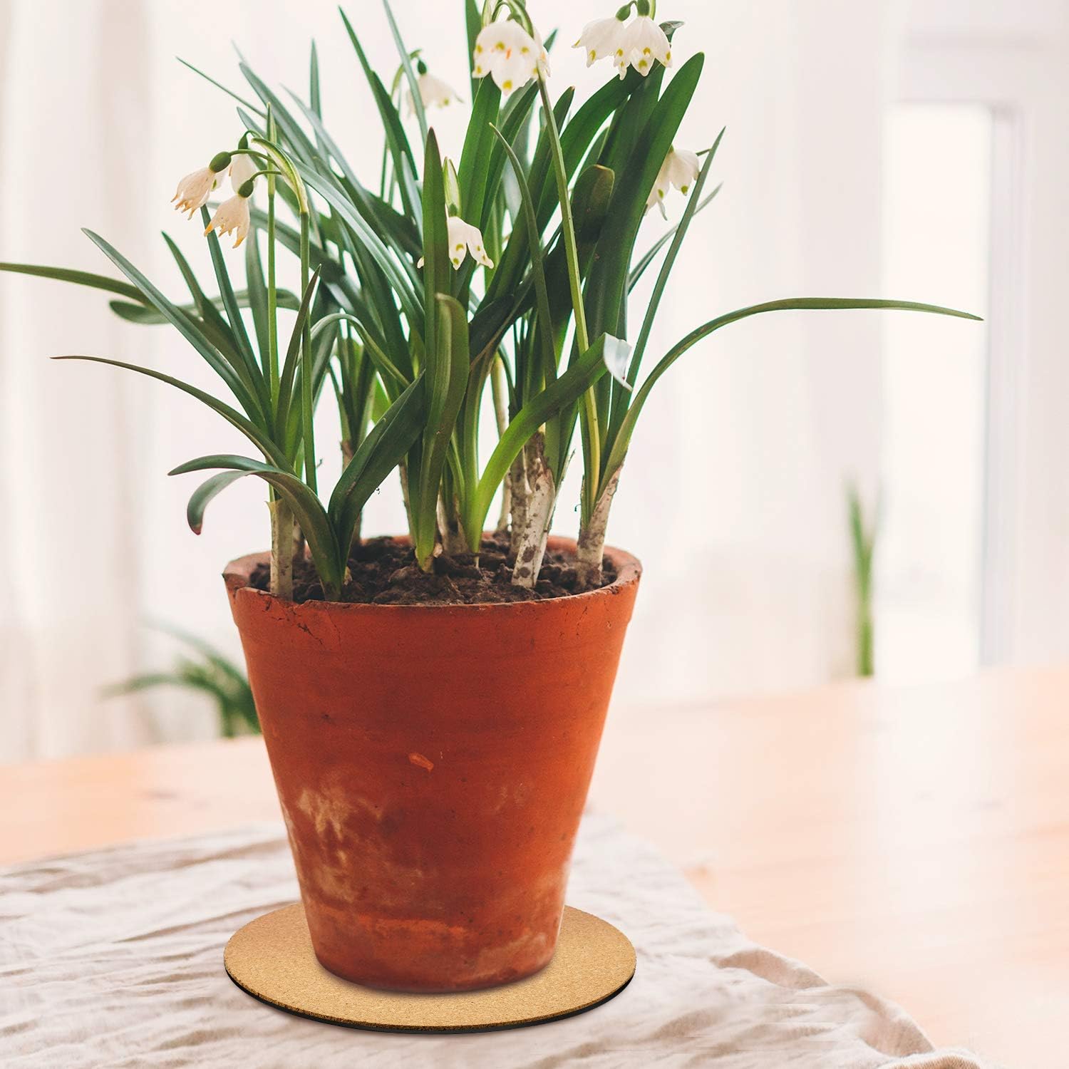 Patelai 3 Pieces Cork Plant Mat Round 6, 8, 10 Inch 3 Sizes Cork Plant Coasters DIY Pad Plate Pad for Gardening Indoor and Outdoor Pots DIY Craft Project