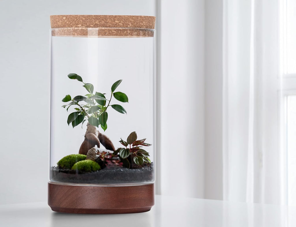 Clear Glass Houseplant Terrarium Planter, 6" W x 10" H, Cylindrical Terrarium with Wooden Base & Cork Lid | Versatile Tabletop Decoration for Home or Office or Hydroponics (Plant Not Included), 41-A-M