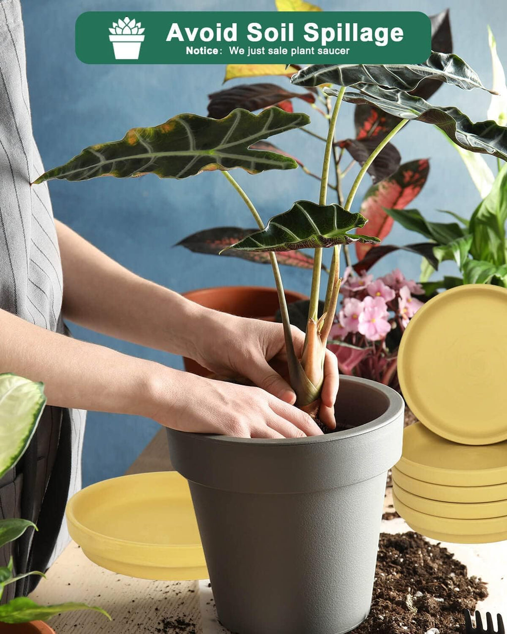 vensovo 8 Inch Yellow Terracotta Plant Saucer Pots Tray - 4 Pcs Round Planter Saucers for Indoor & Outdoor Plants, Large Clay Trays Perfect for 7 Inch 7.5 Inch 8 Inch Flower Pot