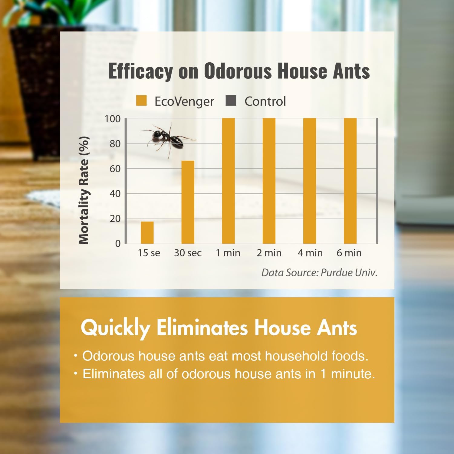 EcoRaider Ant & Crawling Insect Killer (34 OZ), 100% Fast Kills, Also Kills Fire Ants. Lasting Repellency, Safe for Children & Pets