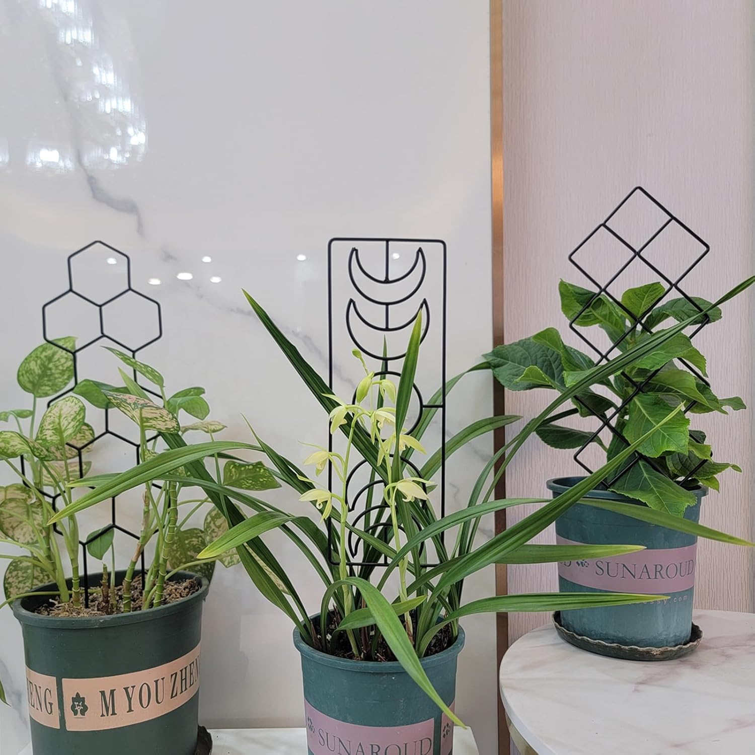 Trellis for Potted Climbing Plants, 16.75 inch Garden Metal Trellis for Indoor Outdoor with Different Patterns for Vine Ivy Flower Plant Support 3 Pack