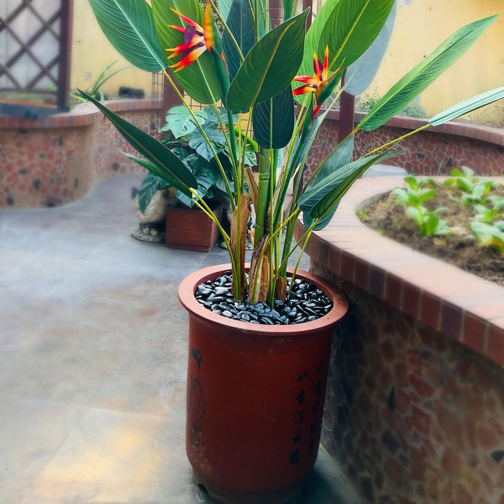 10LB Succulent and Cactus Black Pebbles, 3/8 Inch Natural Decorative Polished Stones, River Rocks for Indoor Plants, Vases, Planters and Outdoor Gardening