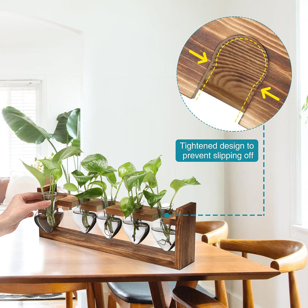 Plant Terrarium Hanging Propagation Stations Gift for Women Air Plants Holder with Wooden Stand Heart Glass