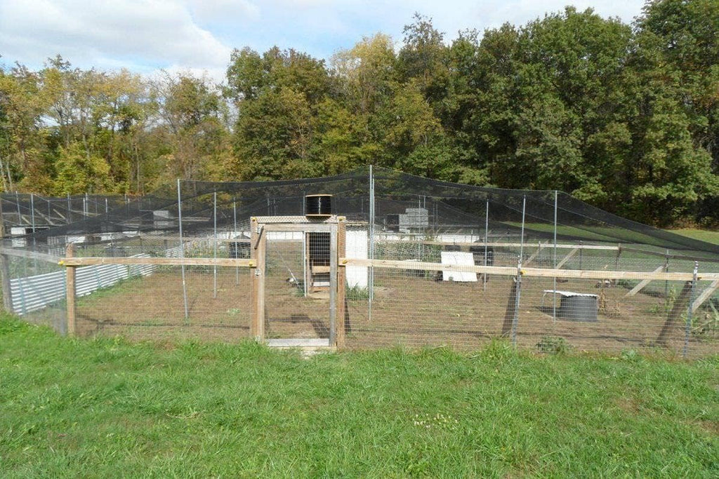 Poultry Netting 1" or 2" Mesh Heavy Knotted Nets Aviary Gamefowl Quail Chicken Bird Block Net Long Lasting Break/Burst 85/245 lb Polyethylene 8-10 Year Lifespan (12.5' X 150', 2)