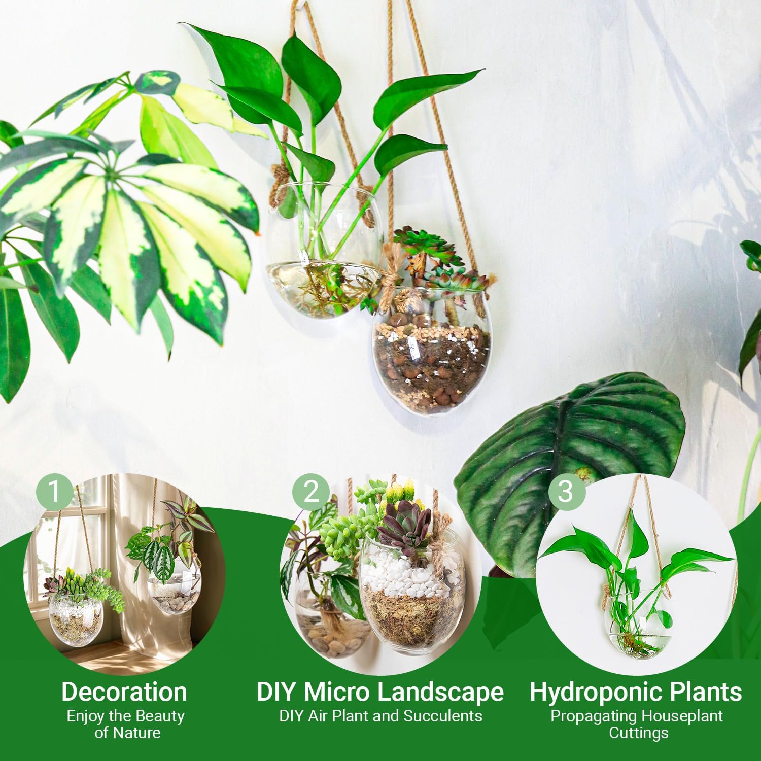 Wall Hanging Glass Planter Air Planter Terrarium Vase Propagation Stations for Hydroponic Plants, Succulent Moss Tillandsias Air Plants Globe,Home Office Garden Decor, Set of 2