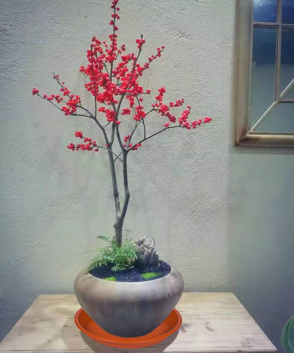 Plant Saucer Pot Tray 10 inch, 2 Packs Plant Drainage Trays, Plastic Flower Planter Saucers and Drip Trays for Indoors, Heavy Durable Plant Plate Water Catcher (Terracotta)