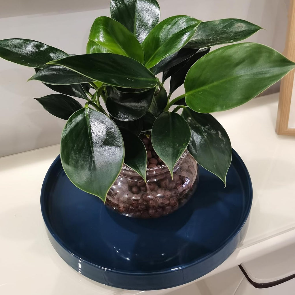 Blue Ceramic Pot Saucer - Drainage Tray for Indoor and Outdoor Flower Plant Pots and Planters, 12 Inch