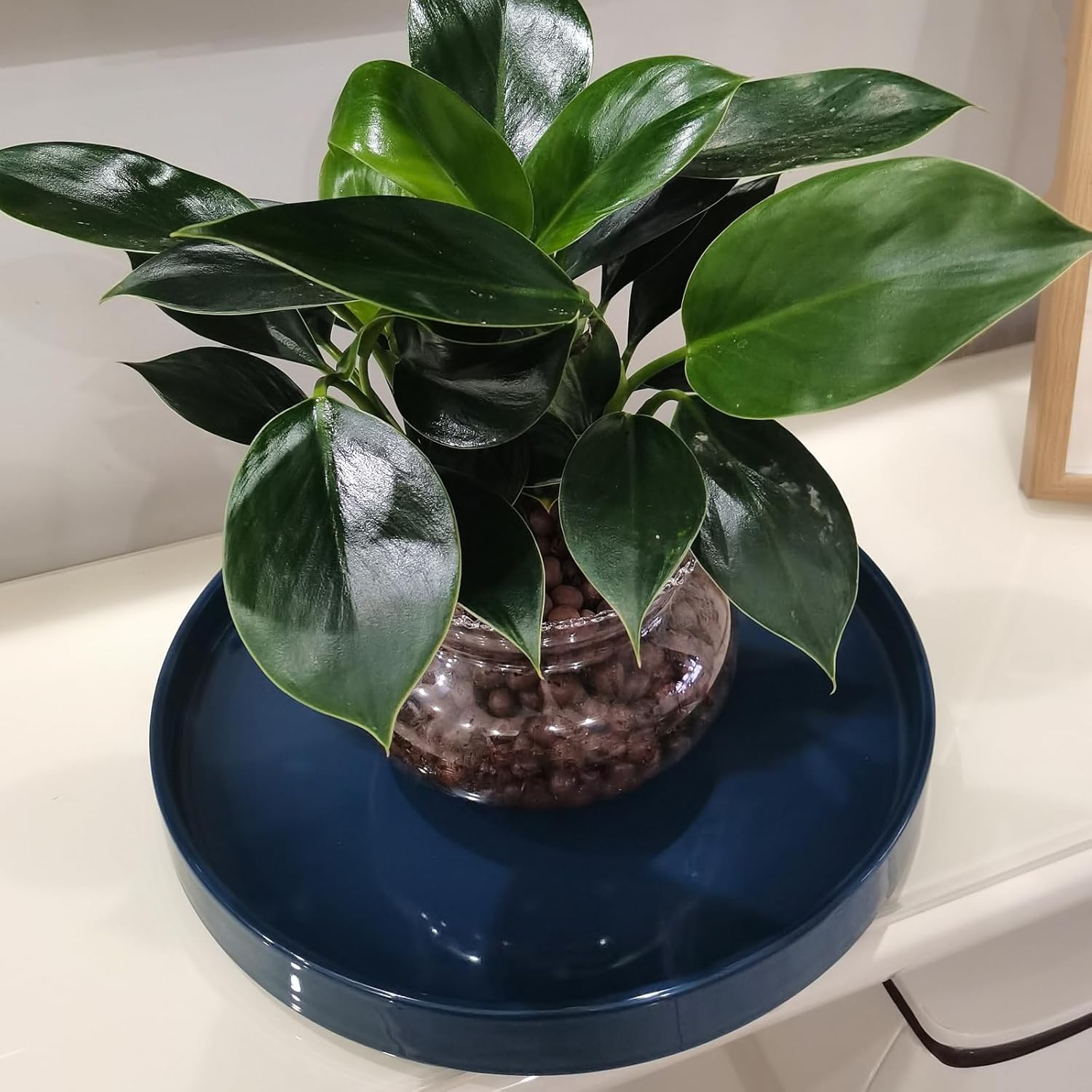 Blue Ceramic Pot Saucer - Drainage Tray for Indoor and Outdoor Flower Plant Pots and Planters, 12 Inch