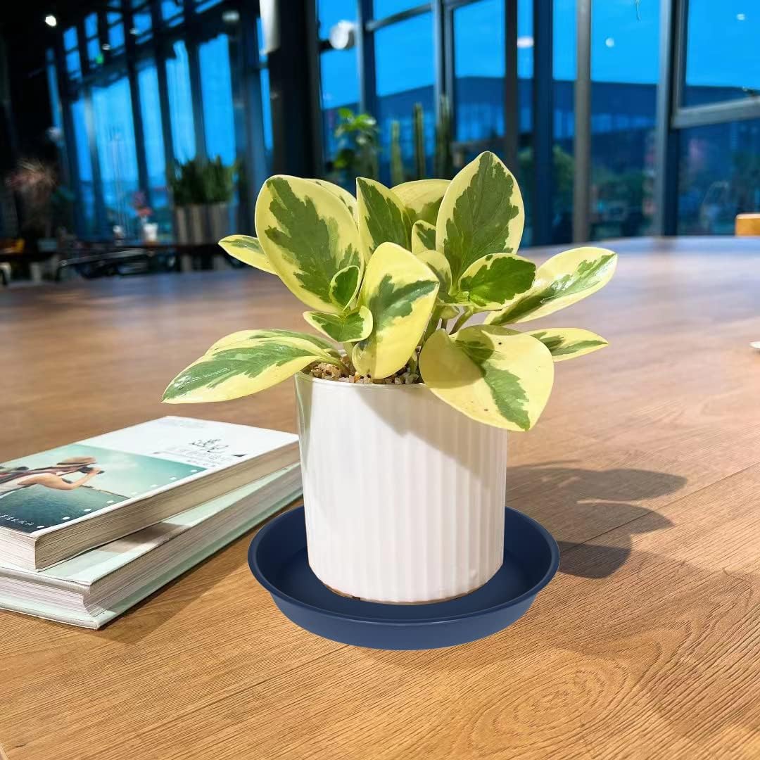 6 Pack of 10 inch Plant Saucer Blue, Heavy Duty Plastic Plant Saucer 10 inch Round, Flower Plant Saucers for Indoors, Plant Trays for Planter 8"/9"/10" (10", Blue)