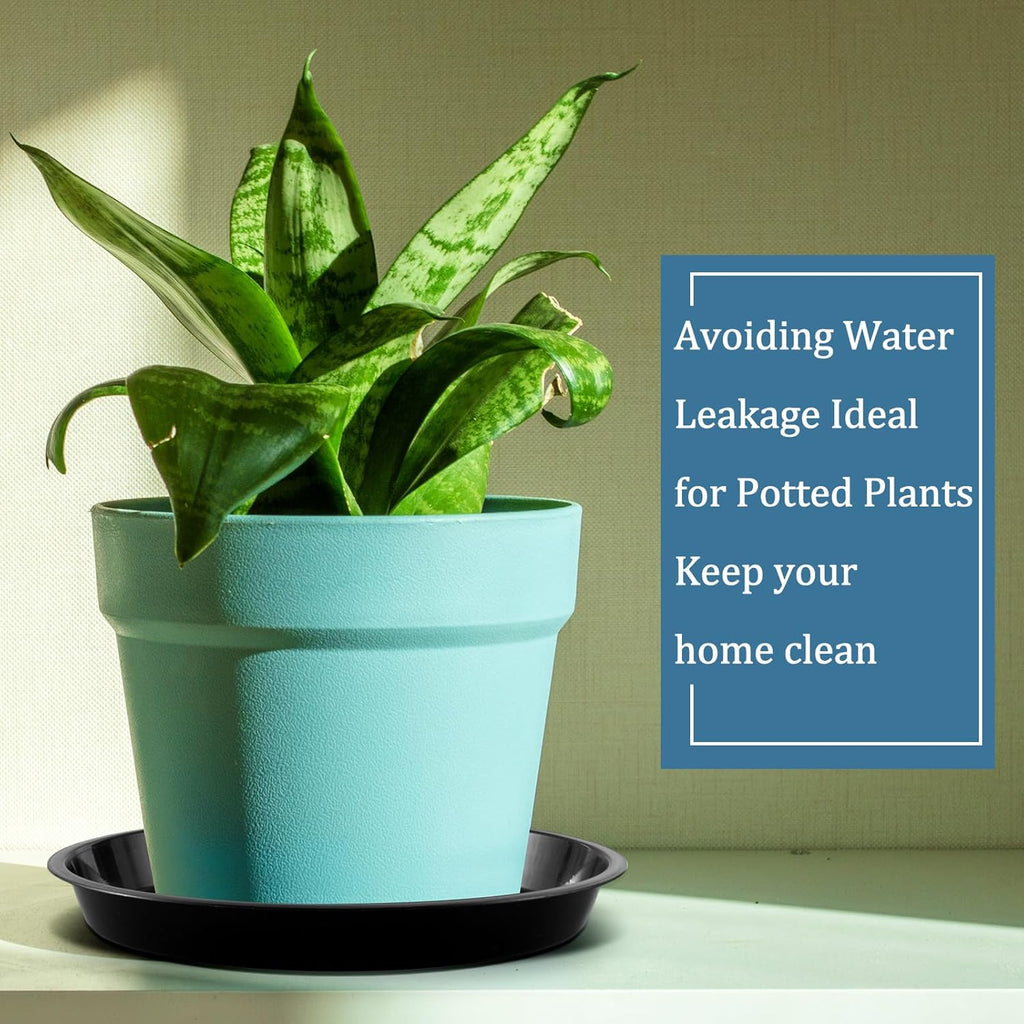 Eccliy 6 Pack Plastic Plant Saucer Heavy Duty Planter Saucers Large Plant Pot Plastic Water Trays for Indoors and Outdoors Flower Drip(12 Inch,Black)