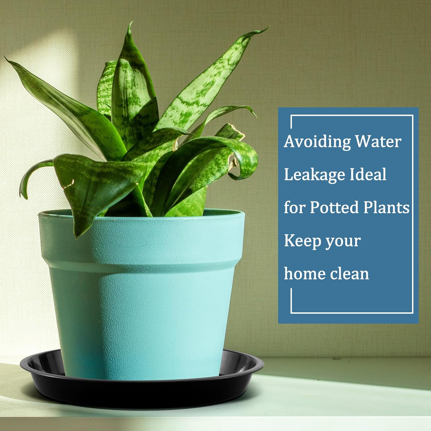 Eccliy 6 Pack Plastic Plant Saucer Heavy Duty Planter Saucers Large Plant Pot Plastic Water Trays for Indoors and Outdoors Flower Drip(12 Inch,Black)