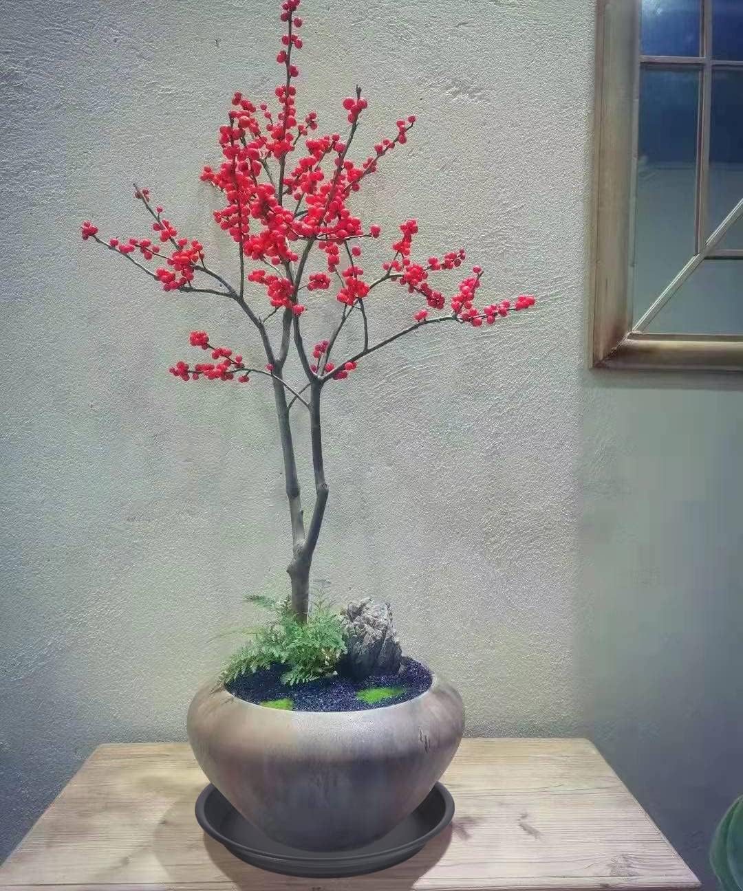 4 Pack Plant Saucer 16 inch, 17 inch (16.8") Plastic Large Flower Planter Plant Pot Saucers and Drip Tray for Indoors Outdoors, Thick Heavy Sturdy Durable Plant Plate Water Catcher (Black)