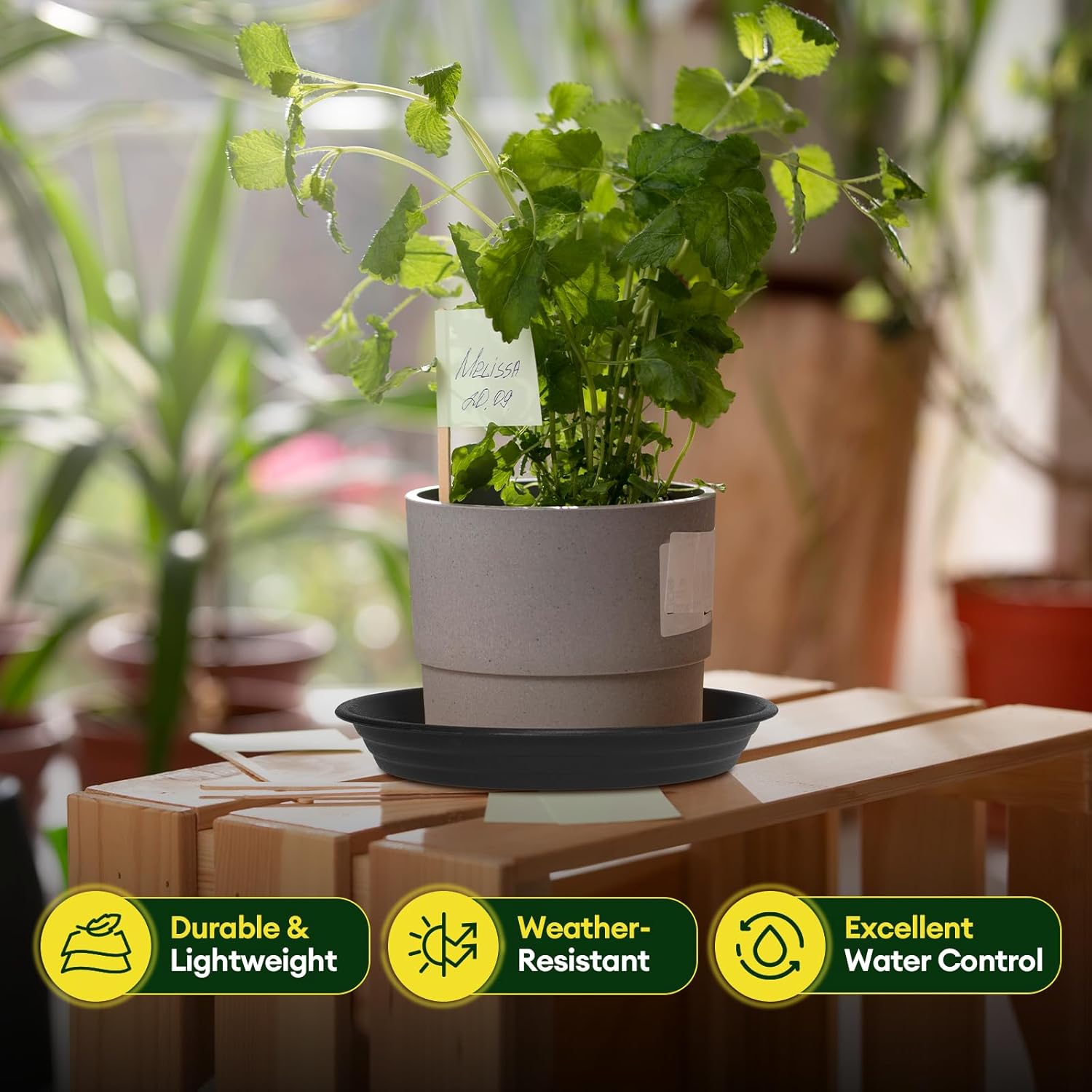 6 Pack Plant Saucer, 8 10 12 inch Plant Saucers for Indoor, Heavy Duty Plastic Plant Trays for pots, Grow Bags, Bird Baths, Flower Drip Trays for Indoor and Outdoor Uses (10", Black)