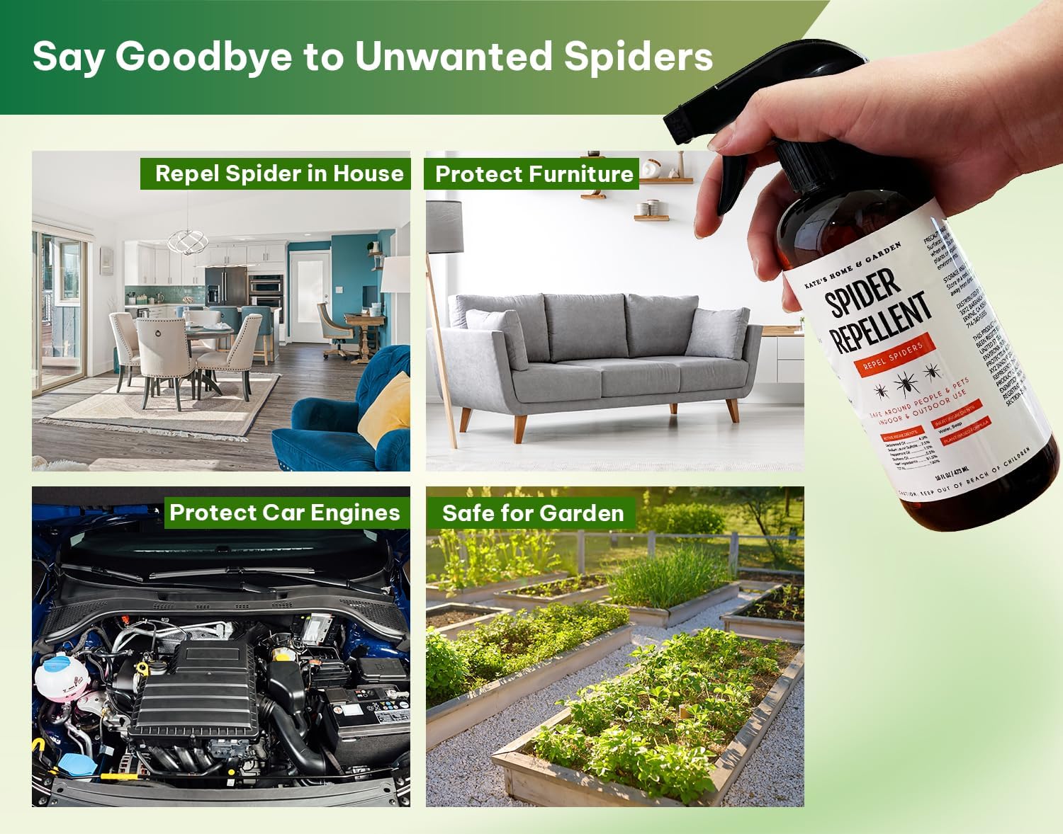 Kate's Home & Garden Spider Repellent Indoor. All Natural Peppermint Oil Spray for Spiders & Outdoor (16oz, Non Toxic Pesticide & Insecticide, Pet Safe)