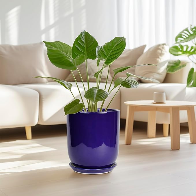 10 Inch Plant Pot - Ceramic Pot for Indoor Plants Large Planter Modern Outdoor Flower Pot with Drainage Hole and Saucer for Home Patio Decor Blue