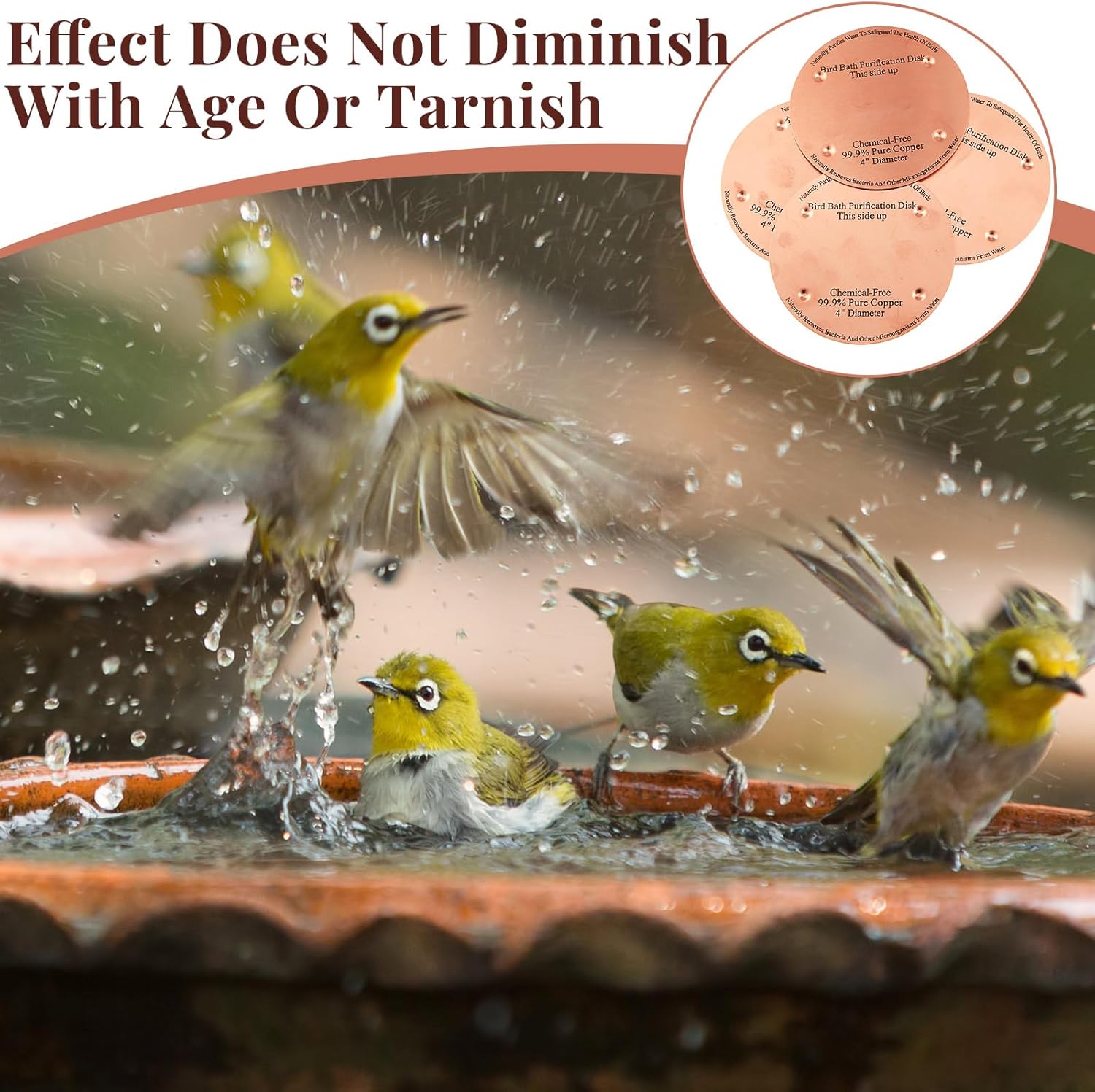 2 Pcs Bird Bath Copper Disk, 0.6mm Thick Reinforced 99.99% Pure Copper Birdbath Purification Disk, with 4 Point Support for Outdoor Birdbaths Bowls Cleaner, 4 Inch (Classic)